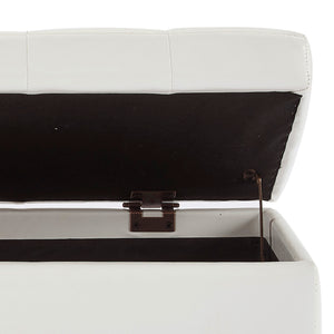 Winston Storage Ottoman