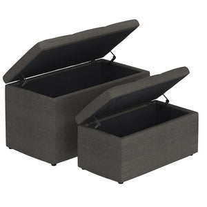 Levi 2Pc Storage Ottoman Set