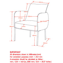 Load image into Gallery viewer, Petrie Accent Chair