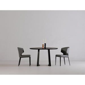 Delaney Dining Chair - Set Of Two